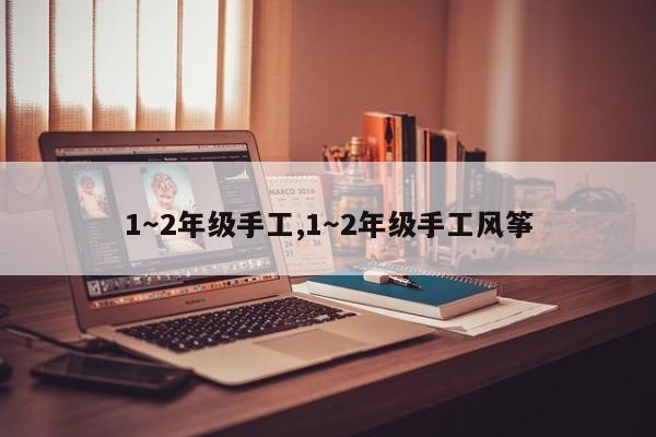 1～2年级手工,1～2年级手工风筝