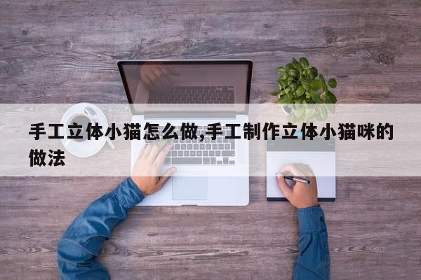 手工立体小猫怎么做,手工制作立体小猫咪的做法